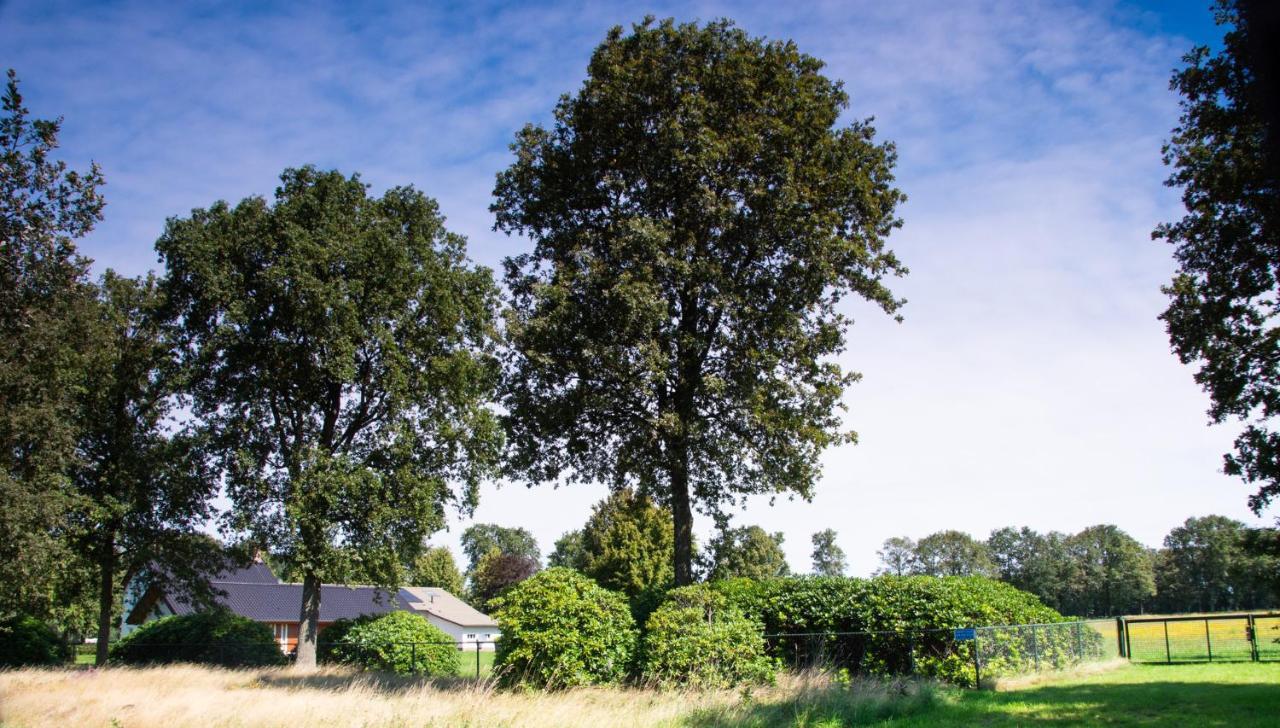 Bed And Breakfast Lindershoeve Bergeijk Extérieur photo